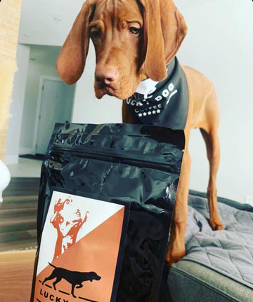 Lucky Dog Coffee - Coffee Bag