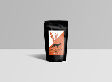 Costa Rican Tarrazu - Lucky Dog Coffee