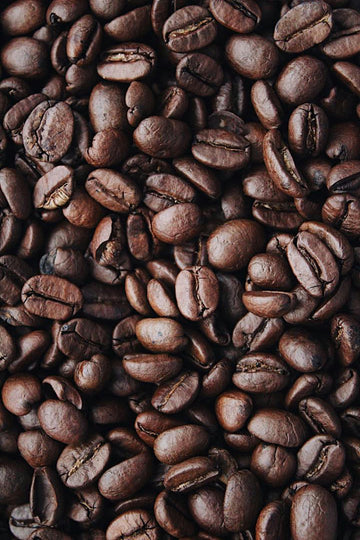Lucky Dog Coffee - Whole Bean