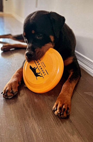 Frisbee - Lucky Dog Coffee